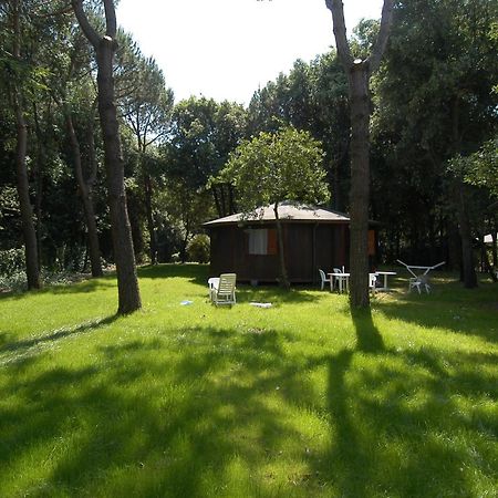 Residence Il Fortino マリーナ・ディ・マッサ エクステリア 写真